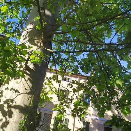 Corte Dell'uva