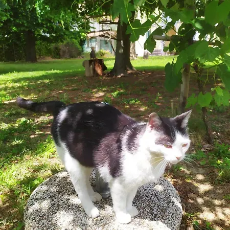 Corte Dell'uva Lejlighed