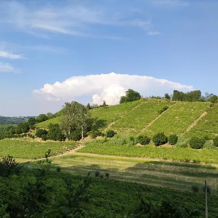 Corte Dell'uva Daire Belveglio