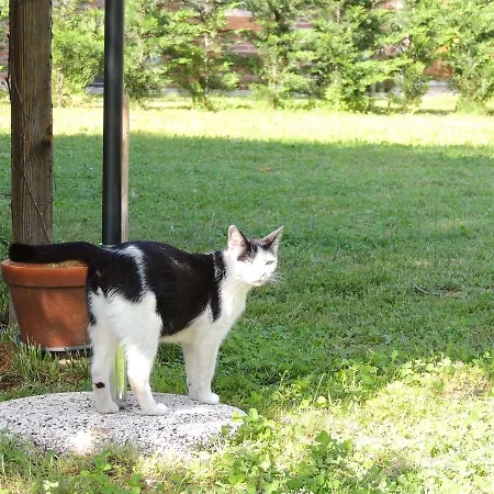 Corte Dell'uva Belveglio