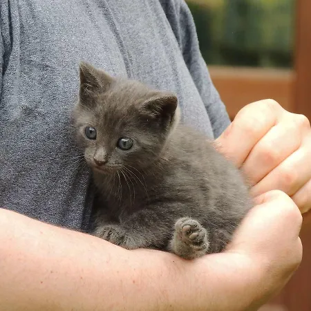 Corte Dell'uva Lejlighed *