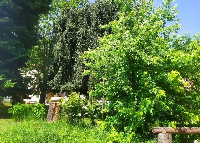 Corte Dell'uva *